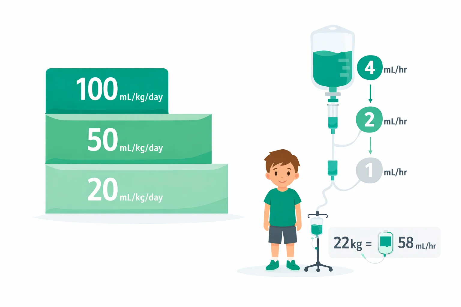 Diagram of the Holliday-Segar weight tiers showing 100, 50, and 20 mL/kg per day alongside the 4-2-1 mL/hr rule with a worked example for a 22 kg child