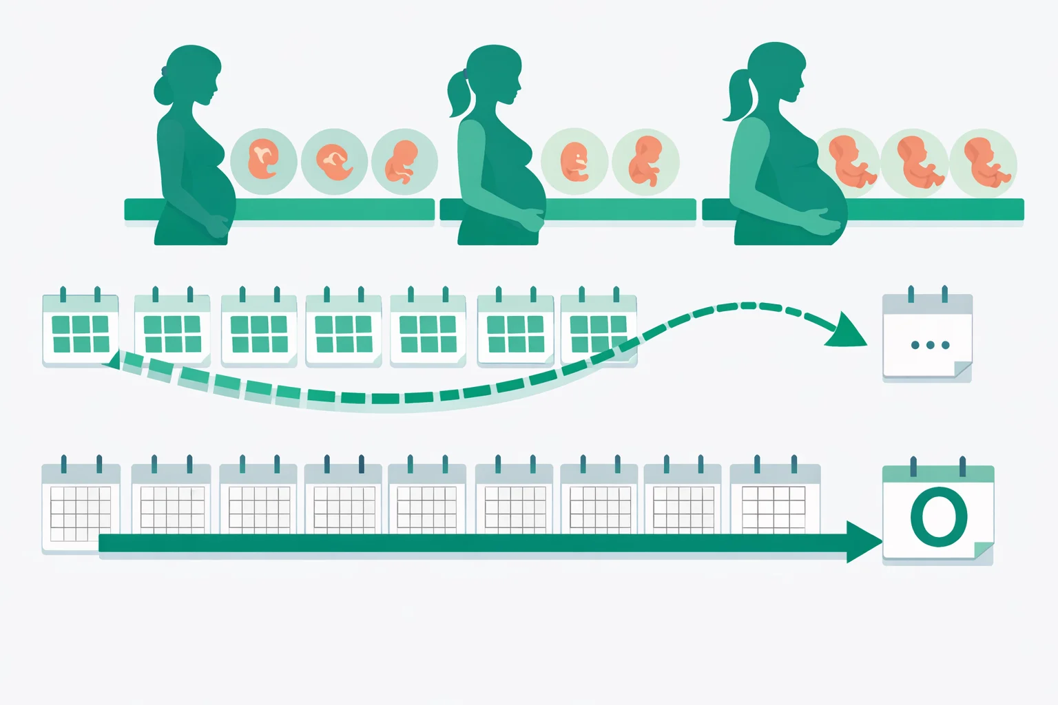 Illustration converting 40 pregnancy weeks into 9.2 calendar months across three trimesters, showing how the four-weeks-per-month shortcut drifts off course